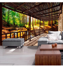 Wall Mural - Getting Back to Nature