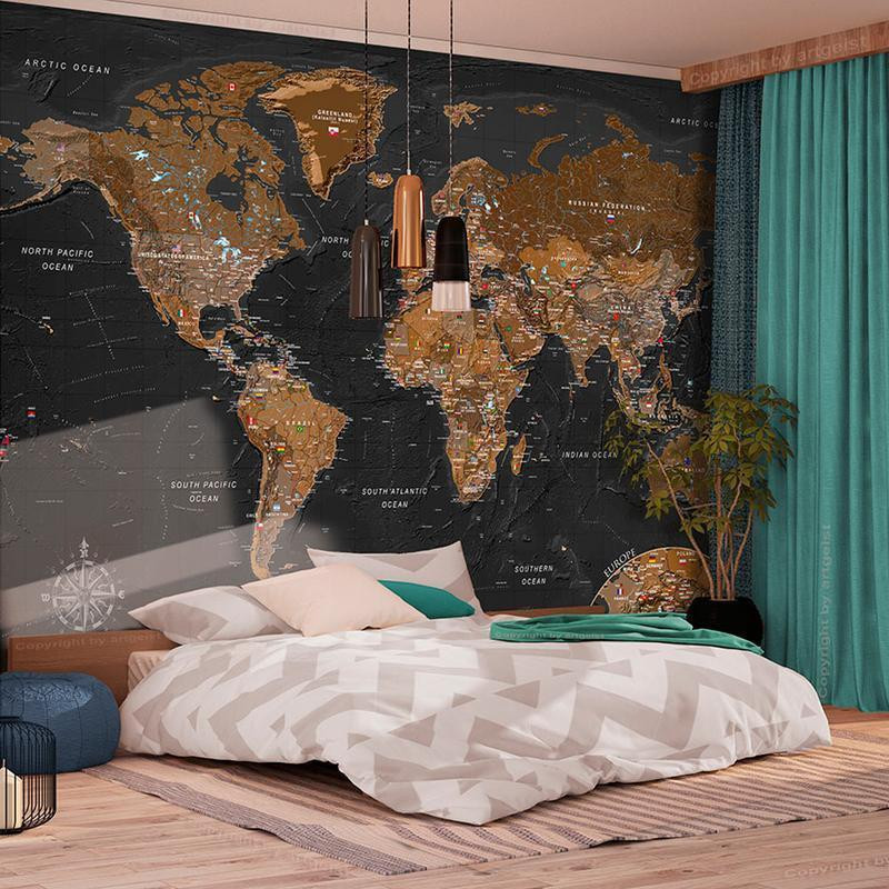34,00 € Wall Mural - World: Stylish Map