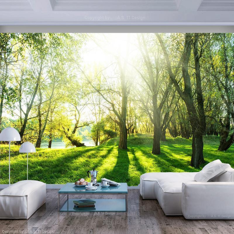 34,00 €Mural de parede - Sunny May Day