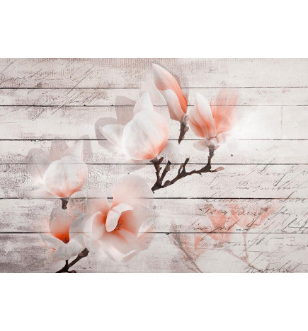 Wall Mural - Subtlety of the Magnolia