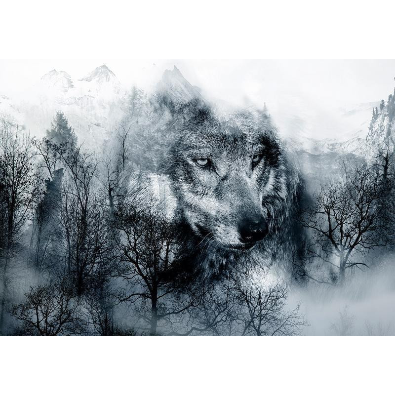 34,00 € Fototapete - Mountain Predator (Black and White)