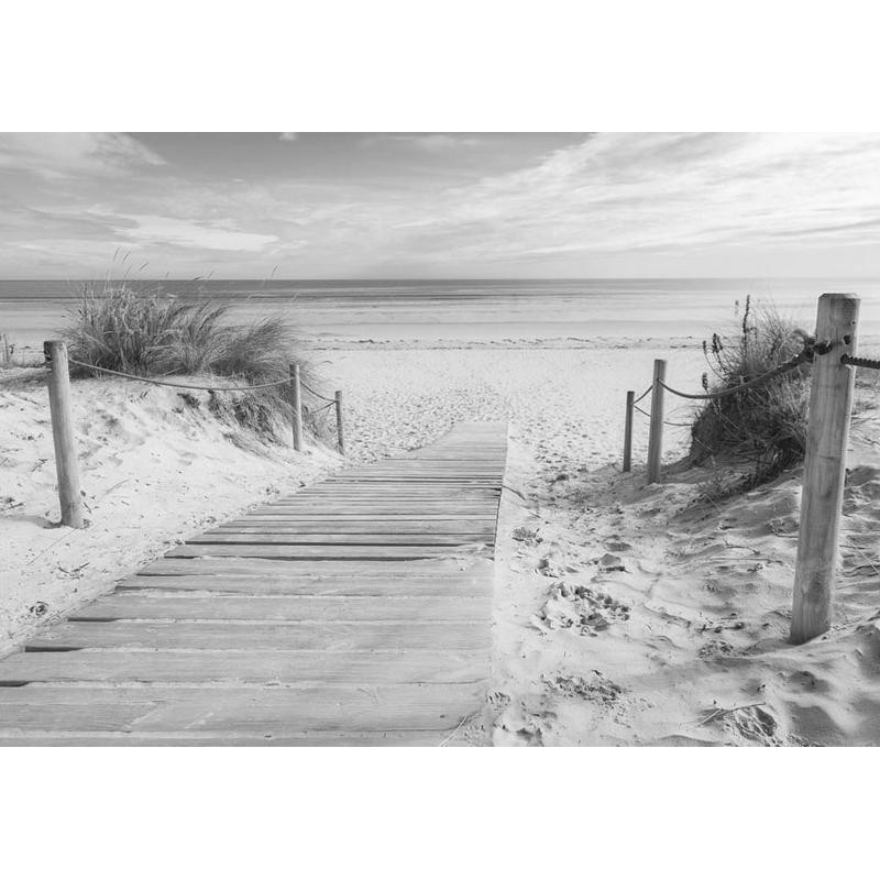 34,00 € Foto tapete - On the beach - black and white