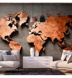 Wall Mural - Copper Map