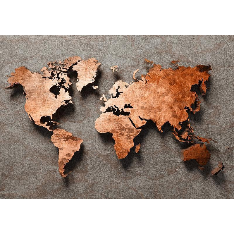 34,00 € Wall Mural - Copper Map