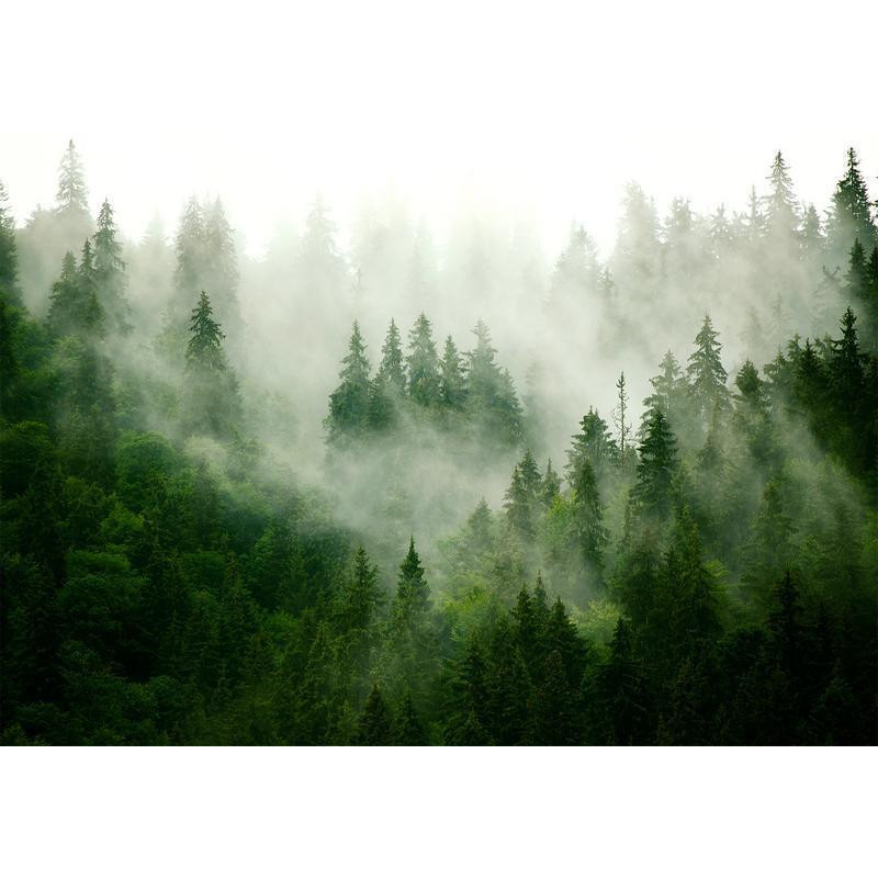 34,00 € Fotobehang - Mountain Forest (Green)