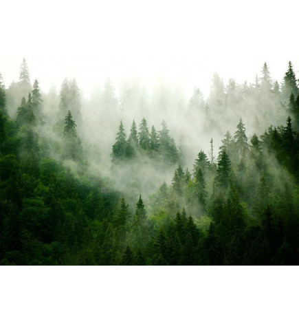 Fotobehang - Mountain Forest (Green)