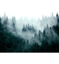Fotomurale con la foresta e la montagna nebbiosa