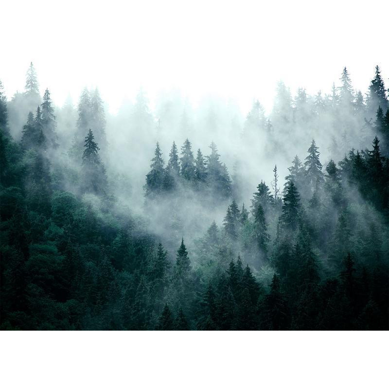 34,00 € Fotobehang - Mountain Forest (Dark Green)