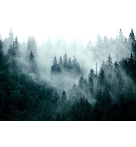 Fotobehang - Mountain Forest (Dark Green)