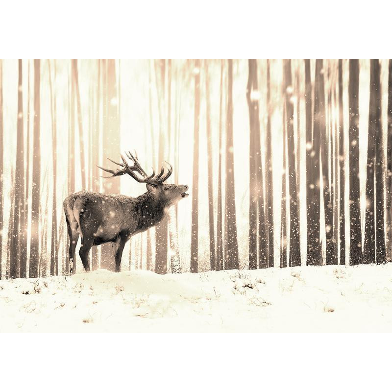 34,00 € Fototapet - Deer in the Snow (Sepia)