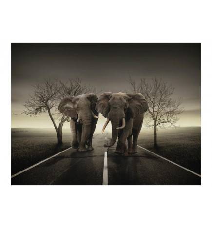 Papier peint - Ville d'éléphants