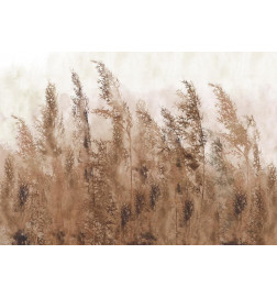 Fotobehang - Tall Grasses - Brown