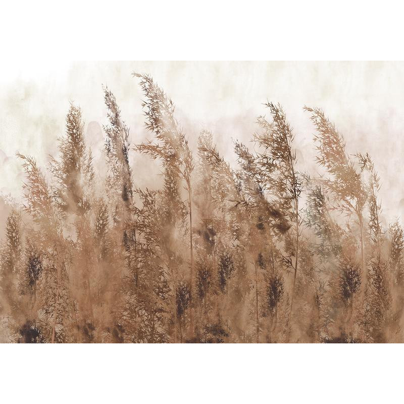 34,00 € Fotobehang - Tall Grasses - Brown