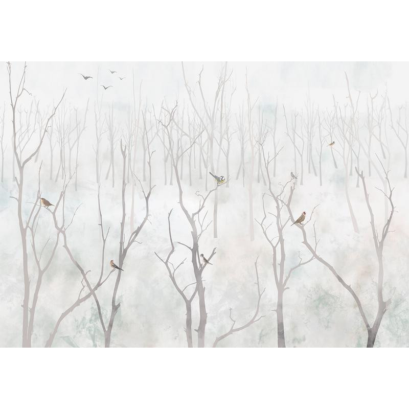34,00 € Wall Mural - Winter Forest