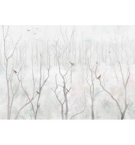 Papier peint - Winter Forest