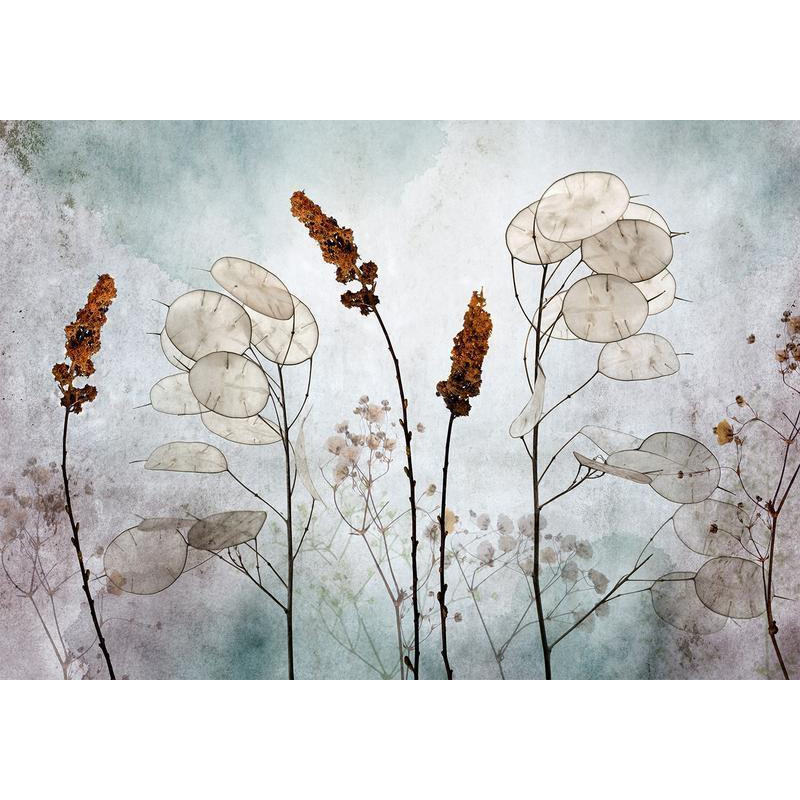 34,00 € Wall Mural - Lunaria in the Meadow