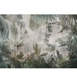 Wall Mural - Rain Forest in the Fog