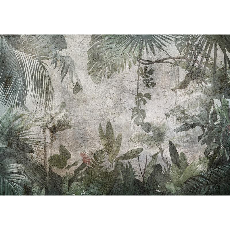 34,00 € Foto tapete - Rain Forest in the Fog