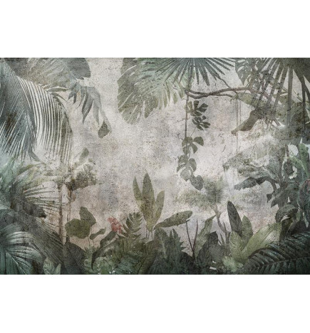 34,00 € Fototapete - Rain Forest in the Fog