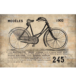 34,00 € Fototapete - Old School Bicycle