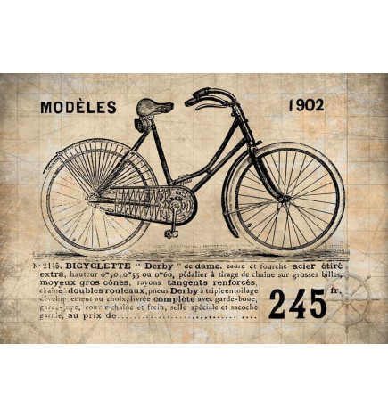 Wall Mural - Old School Bicycle