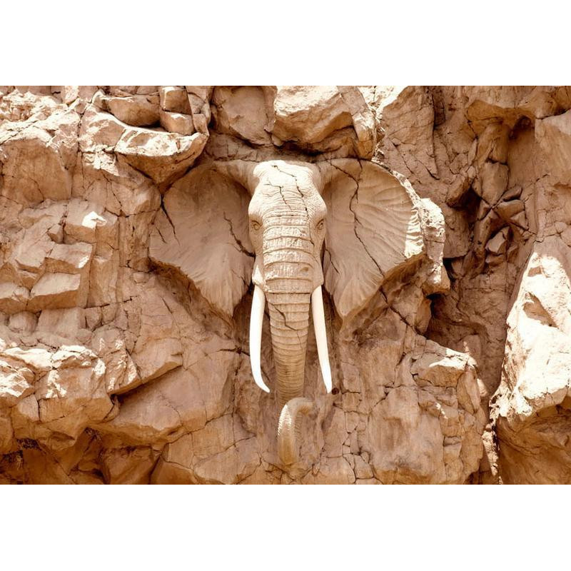 34,00 € Wall Mural - Stone Elephant (South Africa)