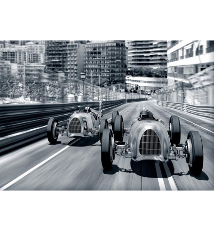 34,00 € Wall Mural - Speed of Sound