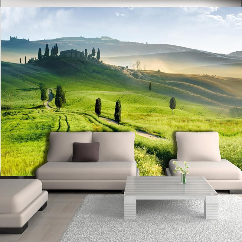 34,00 €Mural de parede - Morning in the countryside
