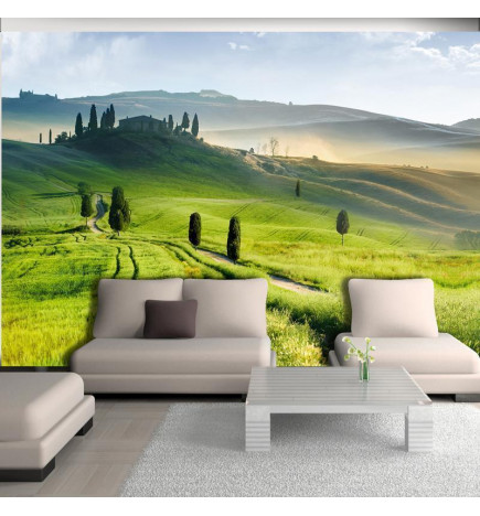 Wall Mural - Morning in the countryside