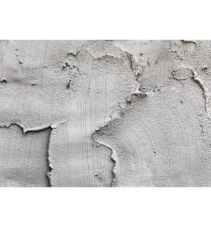 34,00 € Wall Mural - Concrete nothingness