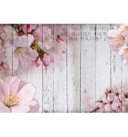Mural de parede - Apple Blossoms