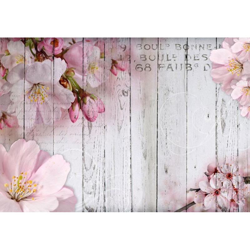 34,00 € Fototapeta - Apple Blossoms