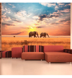 Fotobehang - African savanna elephants