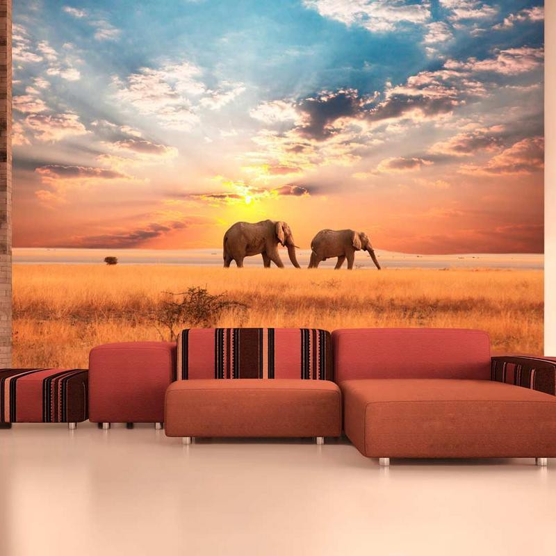 73,00 € Fototapeta - African savanna elephants