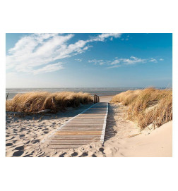 73,00 € Foto tapete - North Sea beach, Langeoog