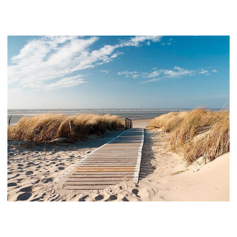 73,00 € Fotobehang - North Sea beach, Langeoog