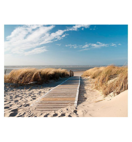 73,00 € Fotobehang - North Sea beach, Langeoog