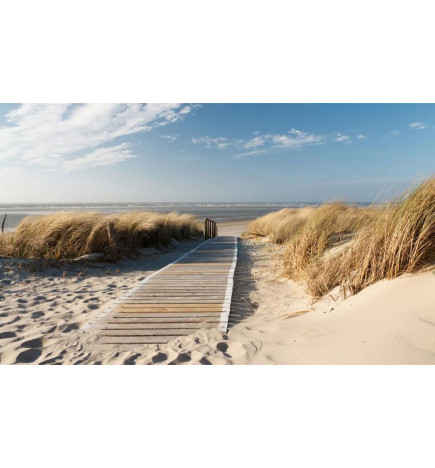 Foto tapete - North Sea beach, Langeoog