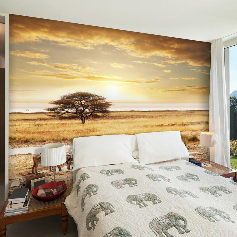 73,00 € Wall Mural - African zebras around watering hole