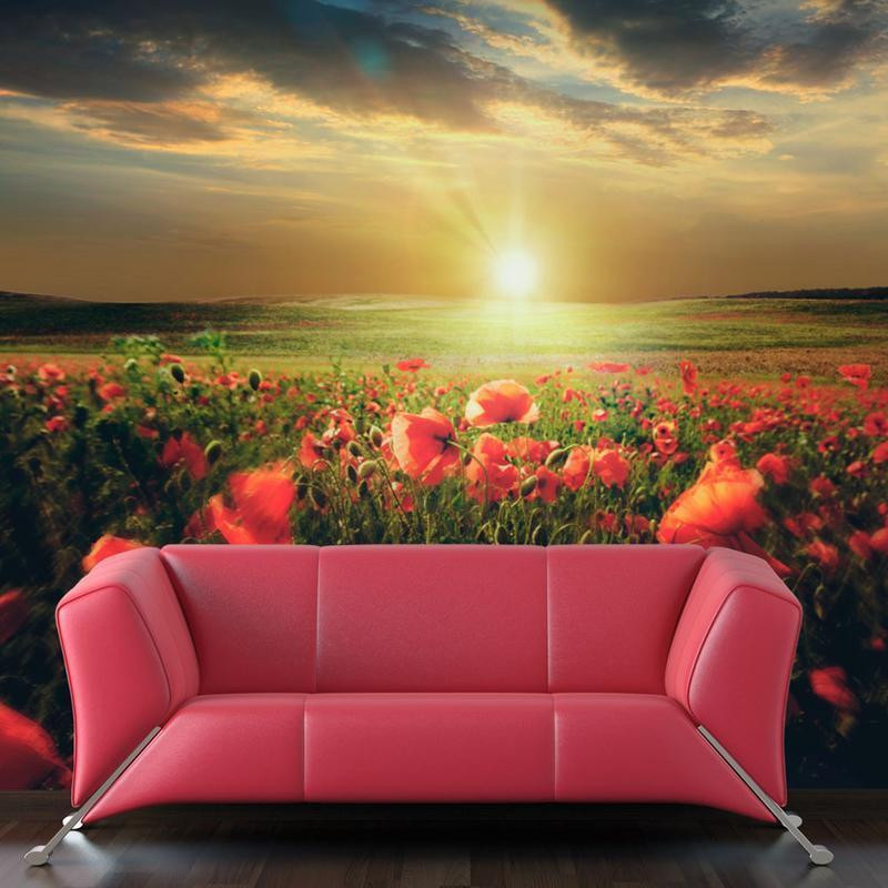 73,00 € Wall Mural - Morning on the poppy meadow