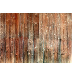 34,00 € Wall Mural - Forest Cottage