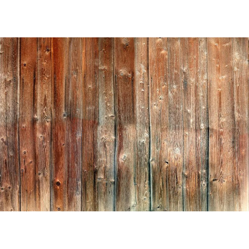 34,00 € Wall Mural - Forest Cottage