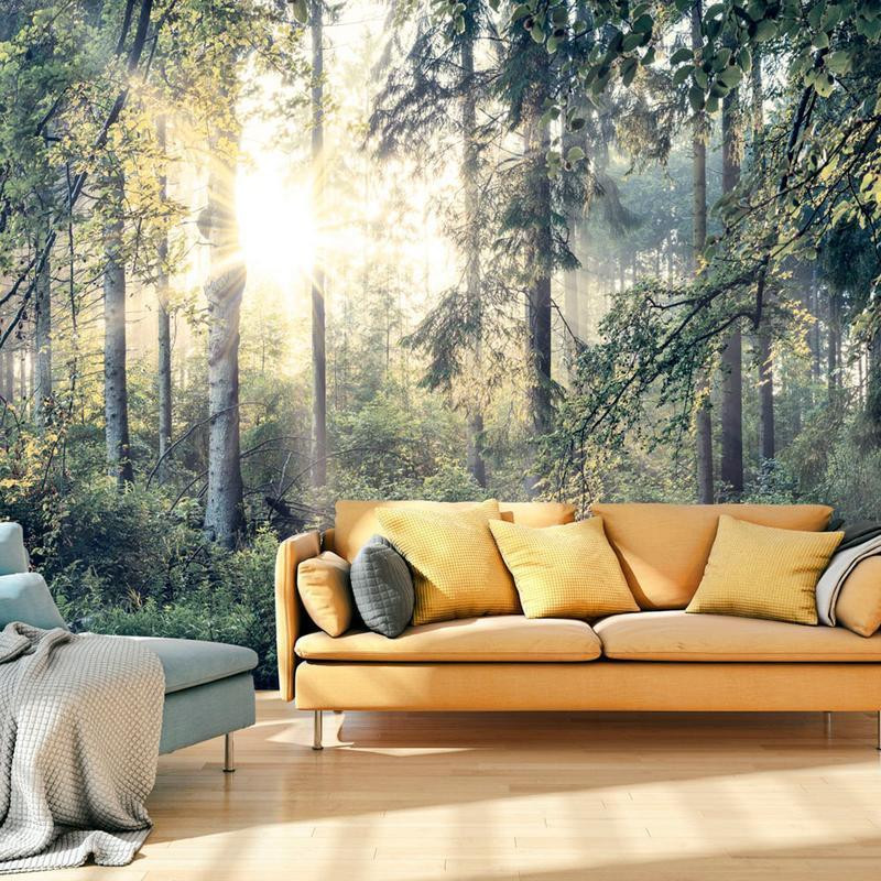 34,00 € Wall Mural - Tales of a Forest