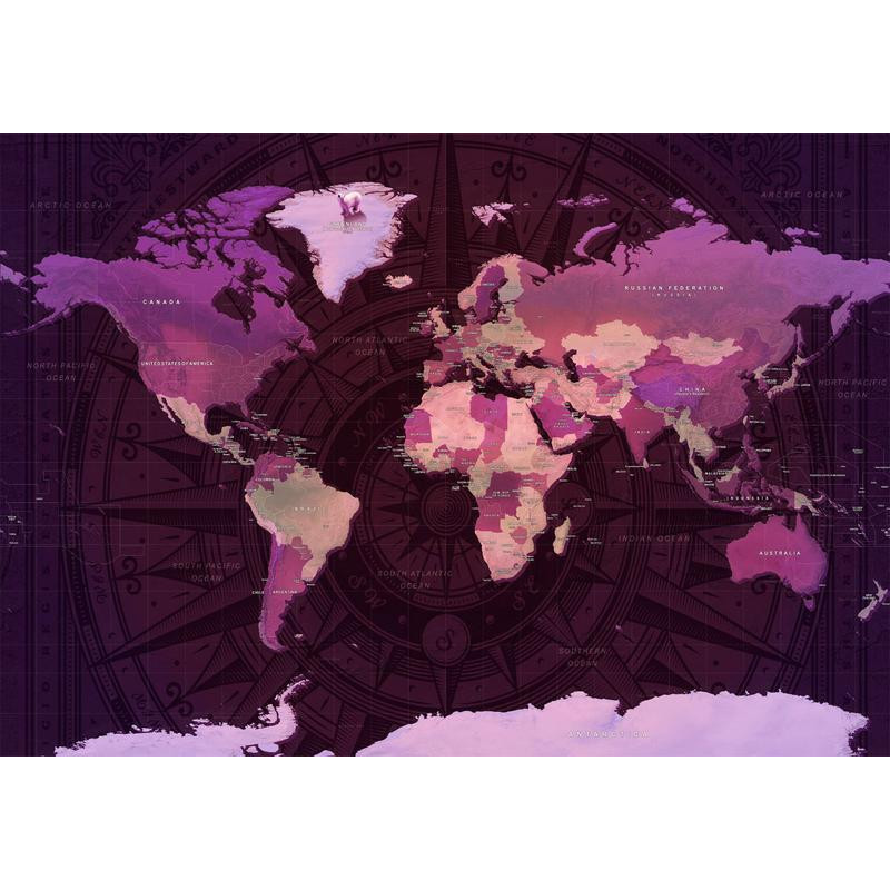 34,00 €Carta da parati - Purple World Map
