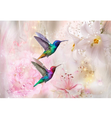 Fototapetti - Colourful Hummingbirds (Pink)