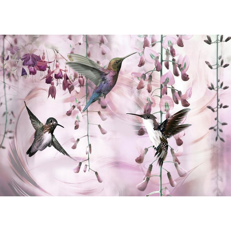 34,00 € Fototapeta - Flying Hummingbirds (Pink)