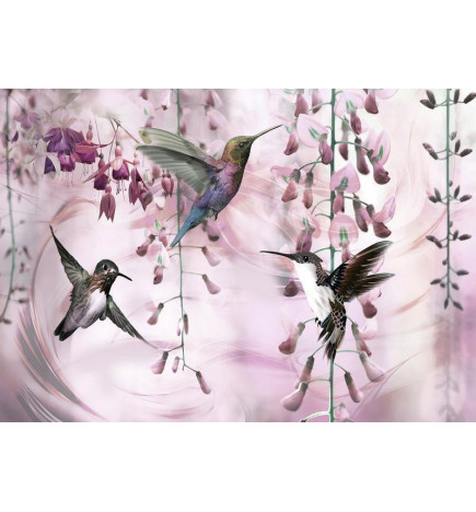 Foto tapete - Flying Hummingbirds (Pink)