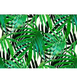 Fototapeet - Tropical Leaves