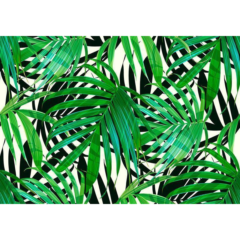 34,00 € Foto tapete - Tropical Leaves