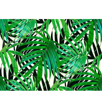 Papier peint - Tropical Leaves